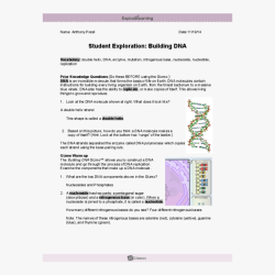 Genetic engineering gizmo answer key pdf