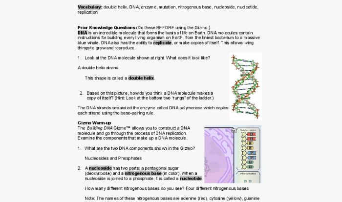 Genetic engineering gizmo answer key pdf