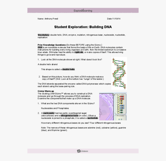 Genetic engineering gizmo answer key pdf