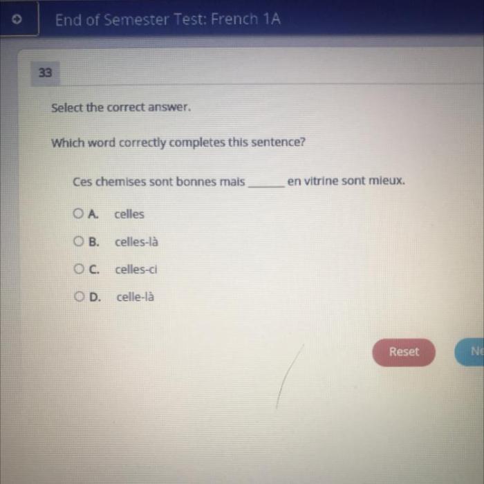 Which choice correctly uses a prefix and completes the sentence