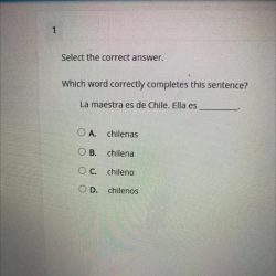 Which choice correctly uses a prefix and completes the sentence