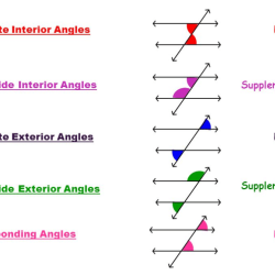 Quiz 3-1 parallel lines transversals and angles answer key